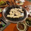 대구막창 - 원주시 | 대구막창
