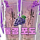 동경전자