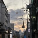 더엠버룸 이미지