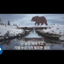 Somewhere only we know : Various Artists 이미지