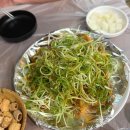 최강파닭 | 욕지도 치맥 찾는다면 비촌치킨 파닭 현지인 맛집 후기