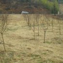 원동면사무소 이미지