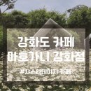 셀 로스터스 강화점 | 강화도 마호가니(MAHOGANY) 카페 방문 후기