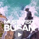 금호리조트(주)통영마리나 이미지