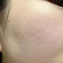 한빛나노 멀티케어 | [스킨케어] 속건조 싹 잡아주는 팜스비앤비 PDRN20 멀티 데일리 세럼 솔직 후기 (PDRN세럼 추천)