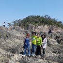 신시도초등학교 이미지