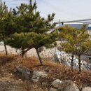 태봉로(북측) 이미지