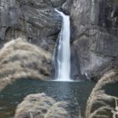 육단2길 이미지