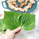 서진농장2 이미지