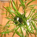 길상초등학교 이미지