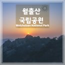 월출산3호 | 월출산 국립공원 등산 후기｜천황봉 일출 산행·난이도·코스 정리