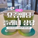 더버드 | 요즘웨딩 플래너 상담 후기 - 버드투블룸, 더에이미, 순수 등 (계약 O, 견적공유)