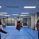 강호태권도장 이미지