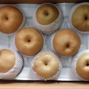 원항농장 이미지