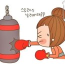 정관장지축 - 4922 | 정관장지축