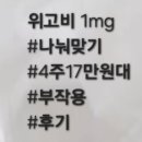 위고비 1mg처방 l 인천최저가 l 2주차까지 나만의 기록 (feat. 사진없음)