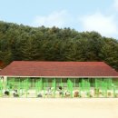 명애견센터 조선일보