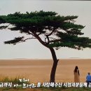 두여 이미지