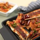 신안바다장어 이미지