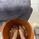 [베트남푸꾸옥 즈엉동야시장 씨쉘호텔 킹콩마트 3-4일 기록 일기]