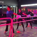 코어짐 | 판교 바레 체험 후기｜파비짐에서 코어 불태운 날