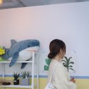 메르켄 이미지