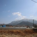 금산콩나물비빔밥 이미지