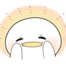 시골사진사