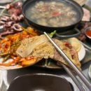 대전평생학습관 어울림홀 | 대전 대흥동 술집 추천 : 분위기 좋은 낭만 포차 배실댁 하우스포차 내돈내산 후기