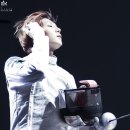 팀레오 이미지