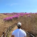 창녕 화왕산 배바위 | ⛰️ 창녕 화왕산 등산코스: 자하곡 환장고개 넘어 배바위까지 (4월 진달래 &amp; 2시간 코스) 🌸