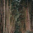 소낭 게스트하우스 이미지