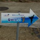 종달초등학교 이미지