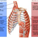 함께선수 & 퍼스널트레이닝 센터 이미지