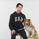 펫글타운 이미지