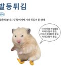 [ 하노이 🇻🇳 ] 첫째날. 오토바이국에서 살아남기