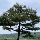 문강유황온천호텔식당 네이버블로그