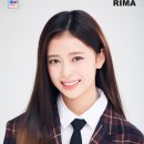 니지(Nizi) 티스토리