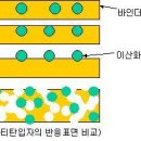 광합성촉매에 대해서 이미지