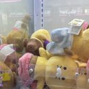 러키비키 강릉관동대점 이미지