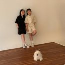 호록 이미지