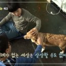 점례 이미지