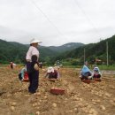 지금 고향엔! 이미지