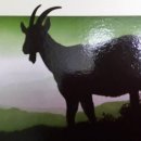 내장산 흑염소농장 이미지