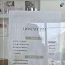 라이언 아이래쉬(LION EYELASH)거제점 이미지