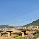 (주)뉴트리온 | 충북 괴산 캠핑장 추천"즐거운녀석들" 시설·놀이·애견동반 솔직후기