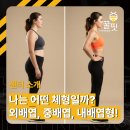 일떡 신설동점 | 신설동 헬스장 나는 어떤 체형일까? 체형에 따른 운동과 식단 전략 총정리! (외배엽, 중배엽, 내배엽)