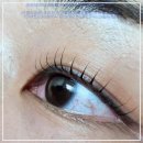 오하요네일 이미지