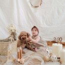 P-7101 | [유어데이테이블] 200일상 대여 후기 / 백일상, 이백일상, 돌상 대여 / 내돈내산후기