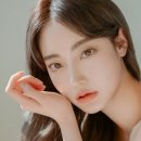 디어벨르